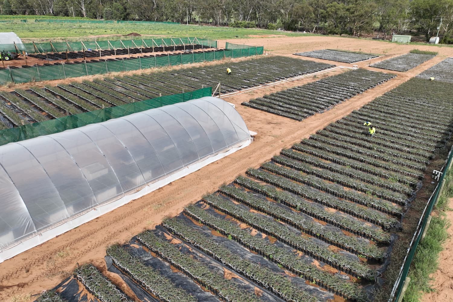 aerial view of a farm